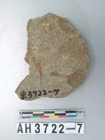 藏品(圓盤形砍砸器)的圖片